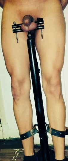 Mistress Vero Rua 