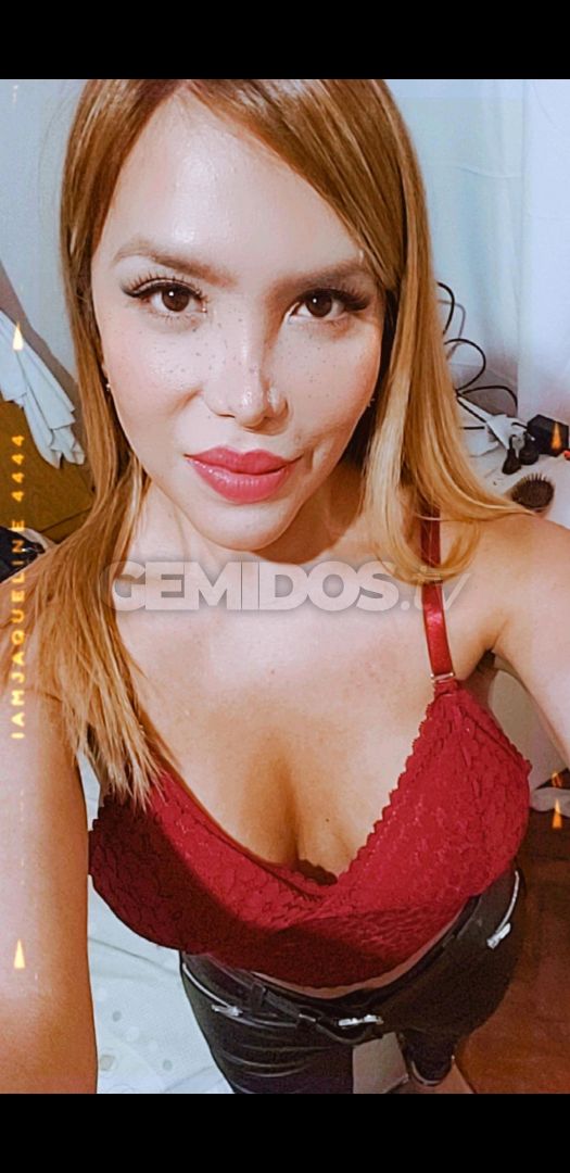 Dani Trans