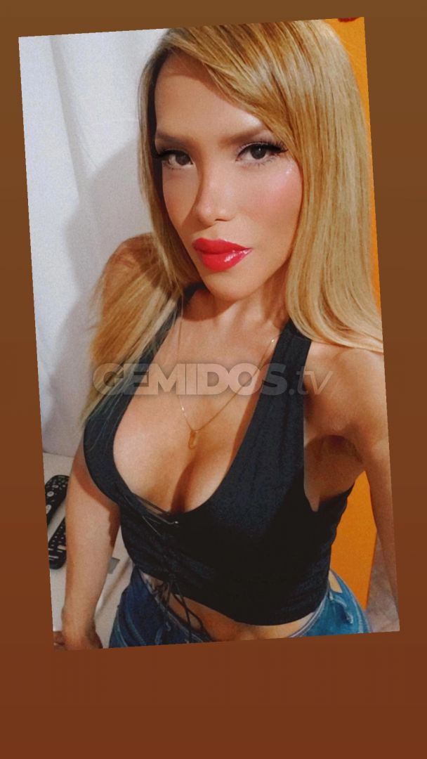 Dani Trans