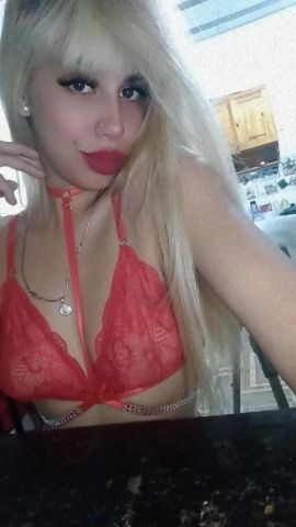 Barbi
